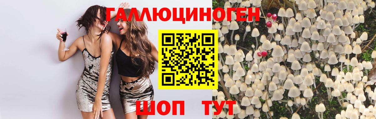 Псилоцибиновые грибы Cubensis  Вход с VPN  Дедовск 